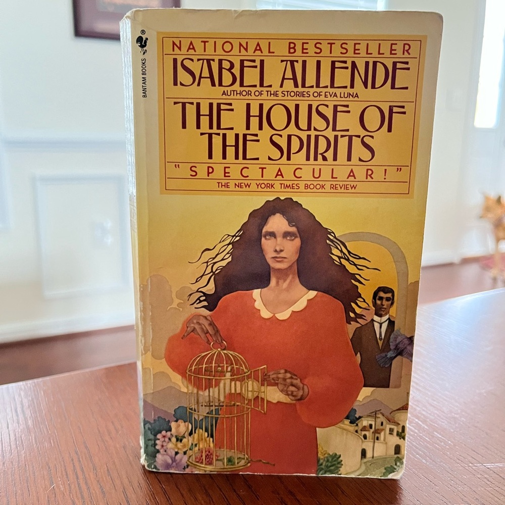 The House of the Spirits Paperback
